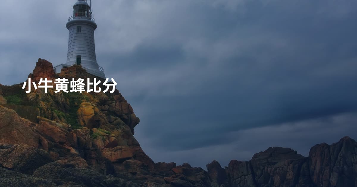 小牛黄蜂比分