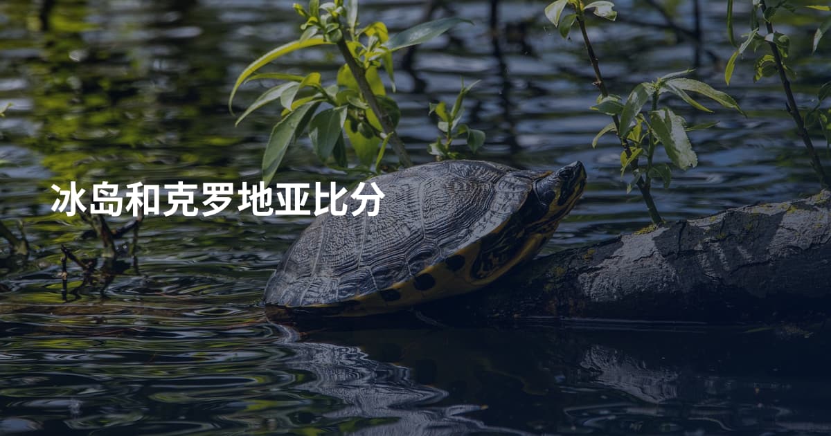 冰岛和克罗地亚比分