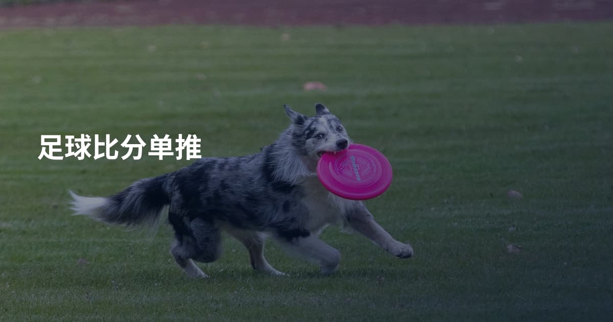 足球比分单推