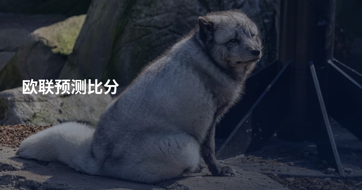 欧联预测比分