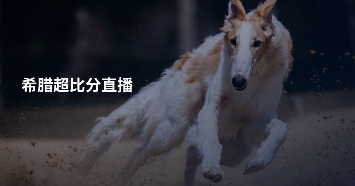 希腊超比分直播