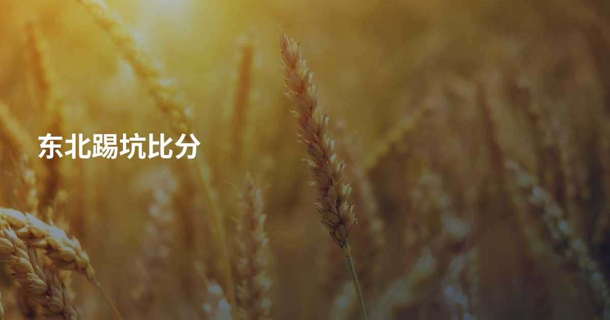 东北踢坑比分