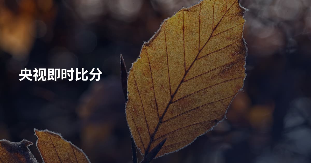 央视即时比分