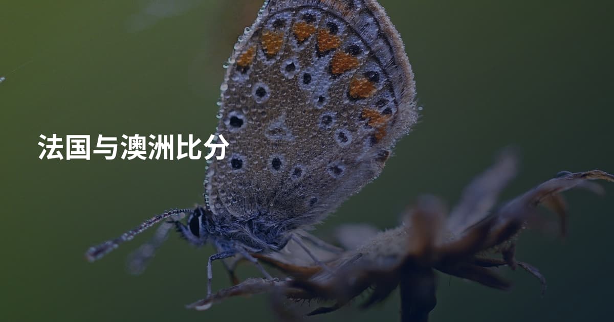 法国与澳洲比分