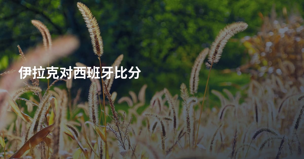 伊拉克对西班牙比分