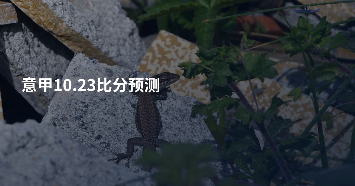 意甲10.23比分预测