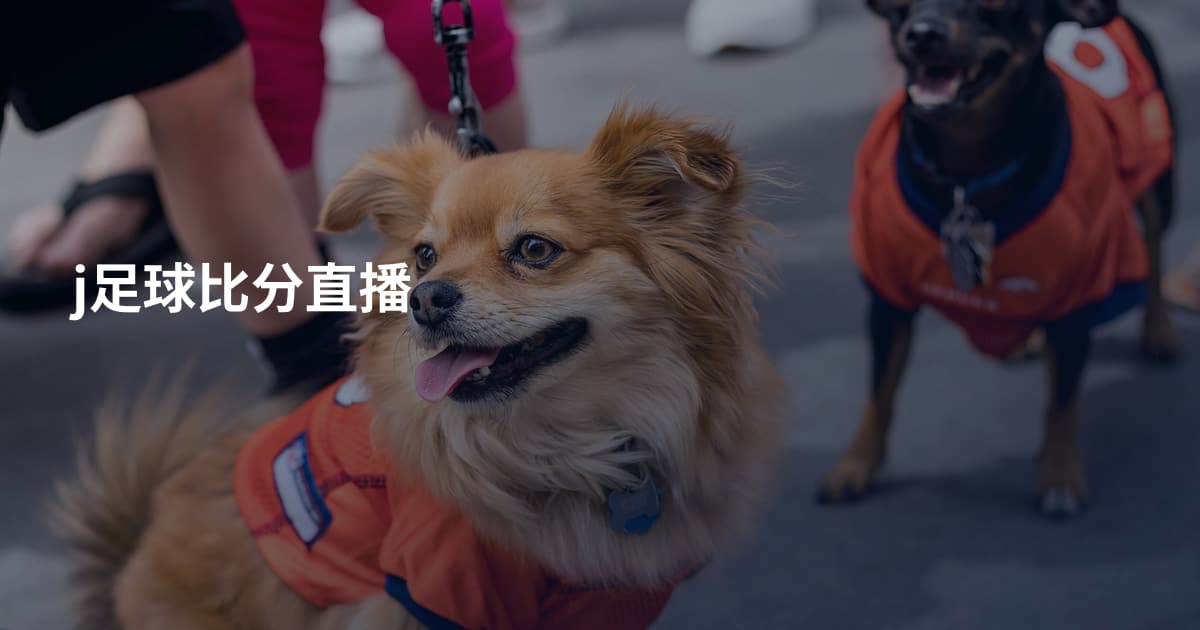 j足球比分直播