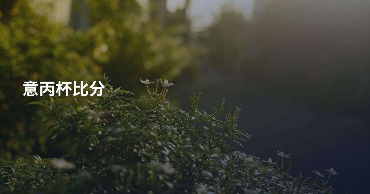 意丙杯比分
