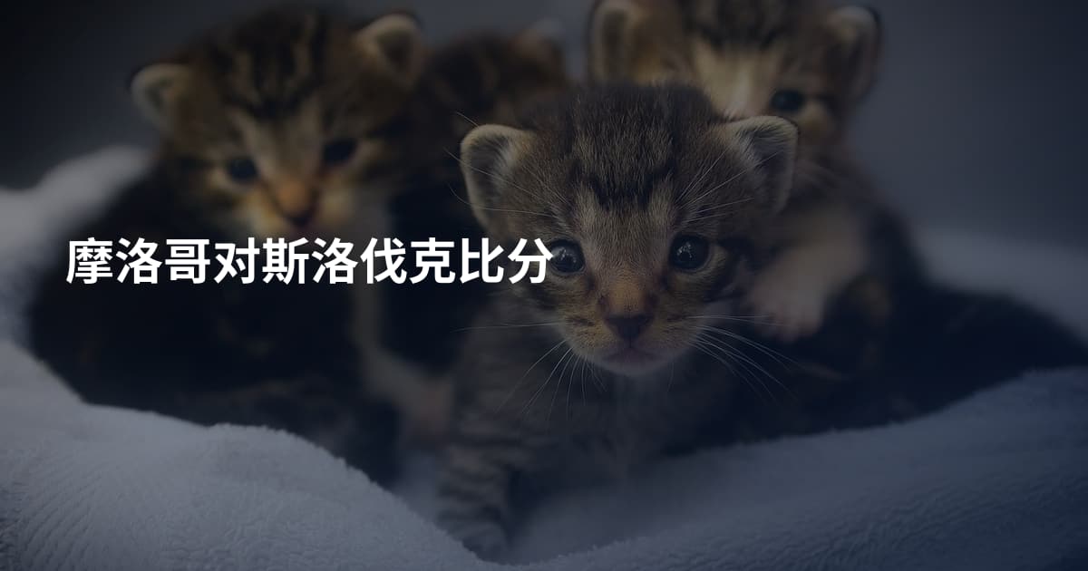 摩洛哥对斯洛伐克比分