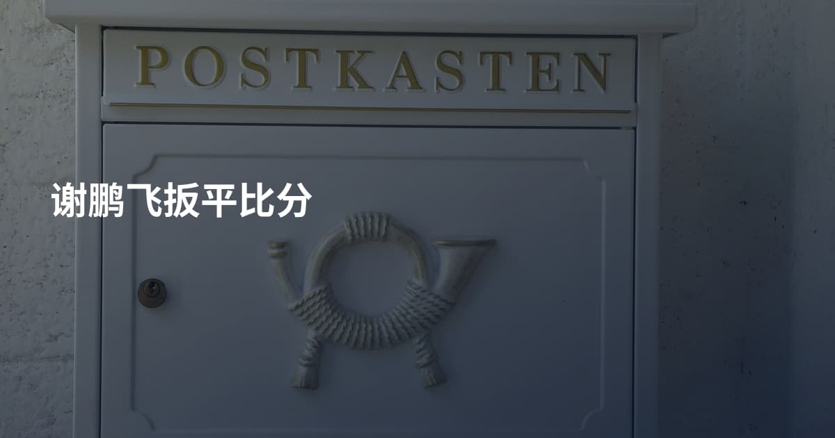 谢鹏飞扳平比分