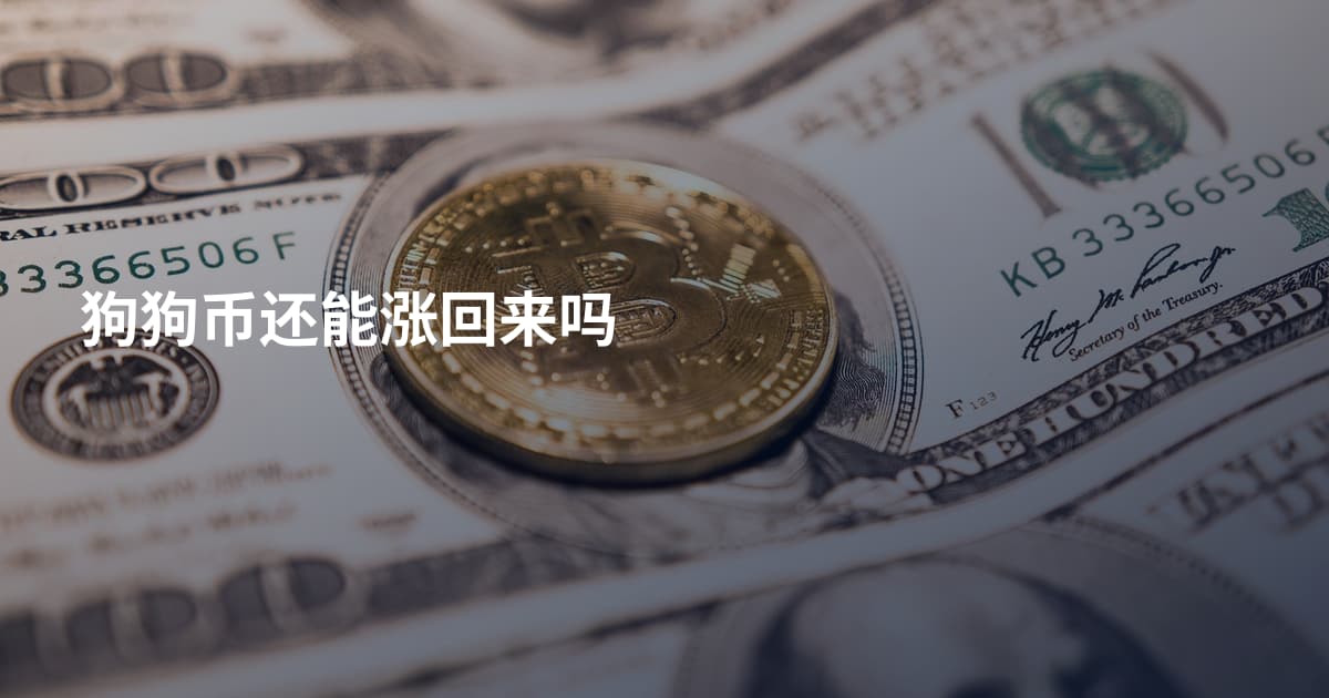 狗狗币还能涨回来吗