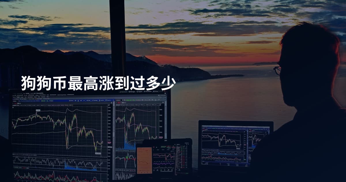 狗狗币最高涨到过多少