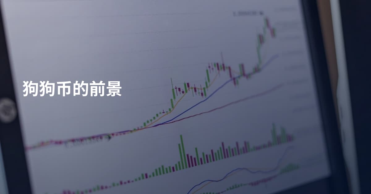 狗狗币的前景