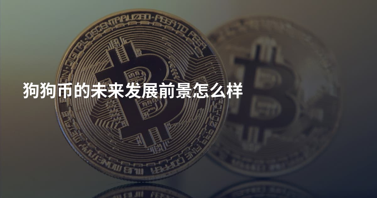 狗狗币的未来发展前景怎么样