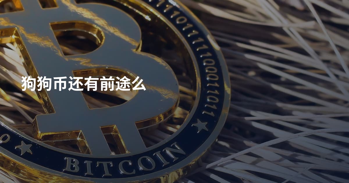 狗狗币还有前途么