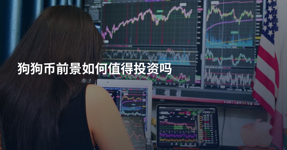 狗狗币前景如何值得投资吗