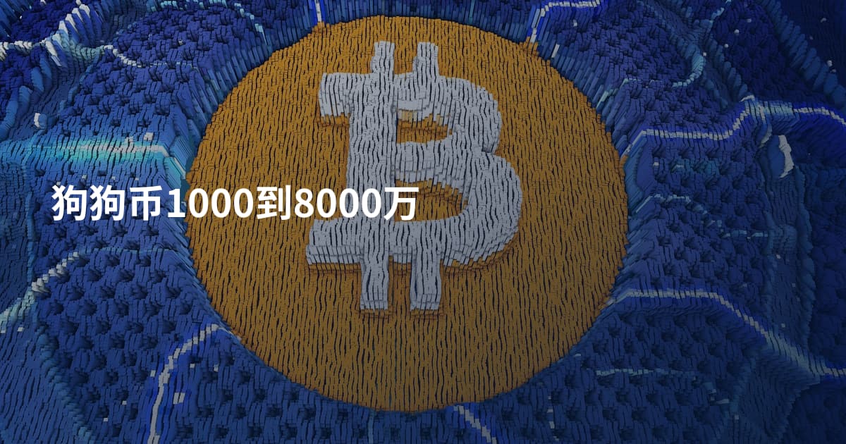 狗狗币1000到8000万