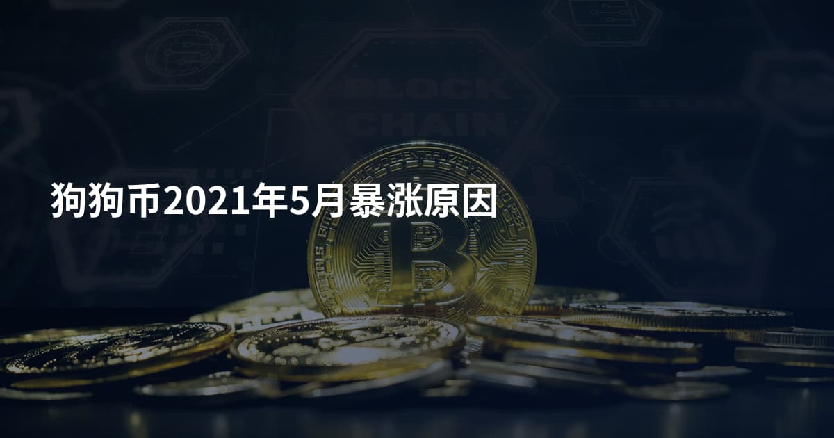 狗狗币2021年5月暴涨原因
