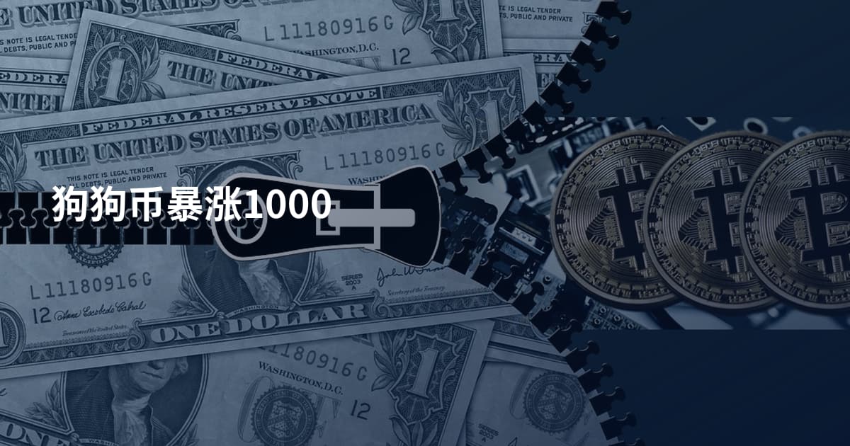 狗狗币暴涨1000