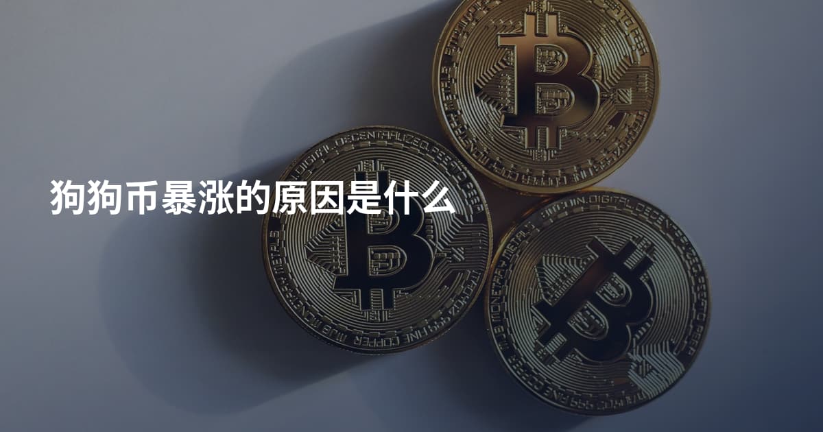 狗狗币暴涨的原因是什么