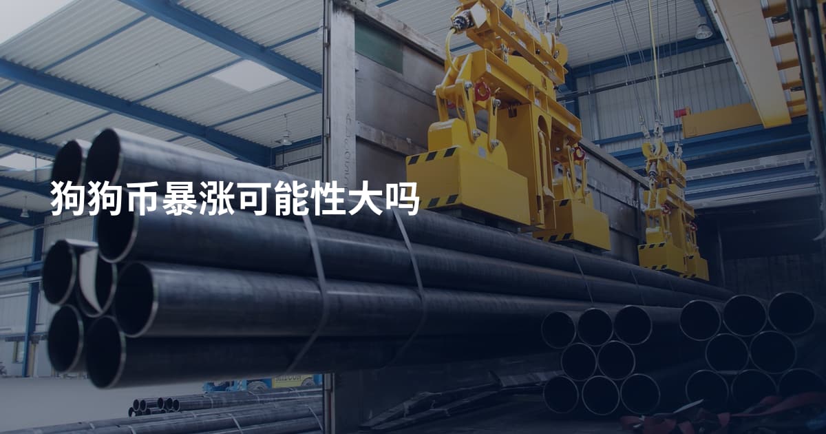 狗狗币暴涨可能性大吗