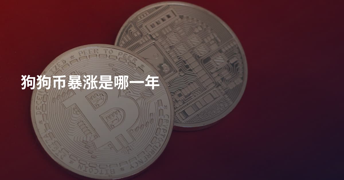 狗狗币暴涨是哪一年