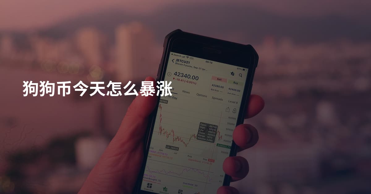 狗狗币今天怎么暴涨