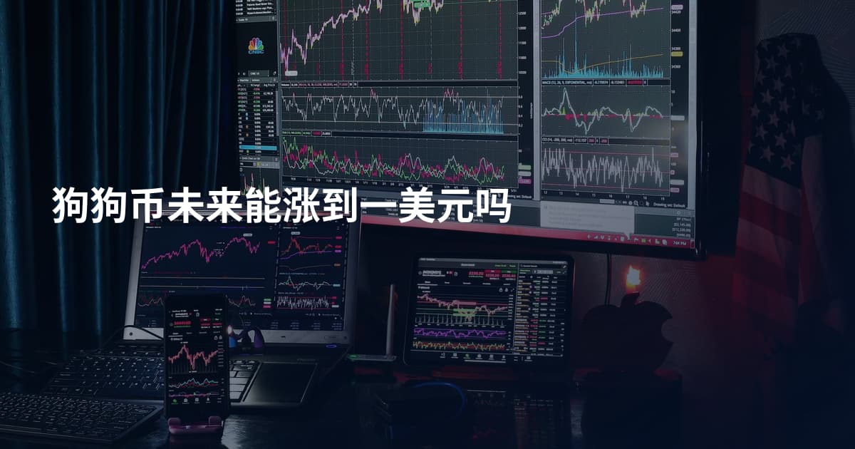 狗狗币未来能涨到一美元吗
