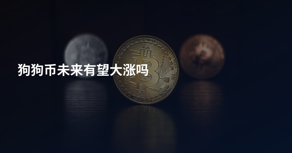 狗狗币未来有望大涨吗