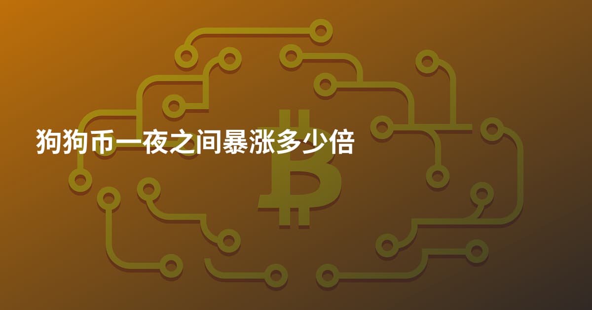 狗狗币一夜之间暴涨多少倍