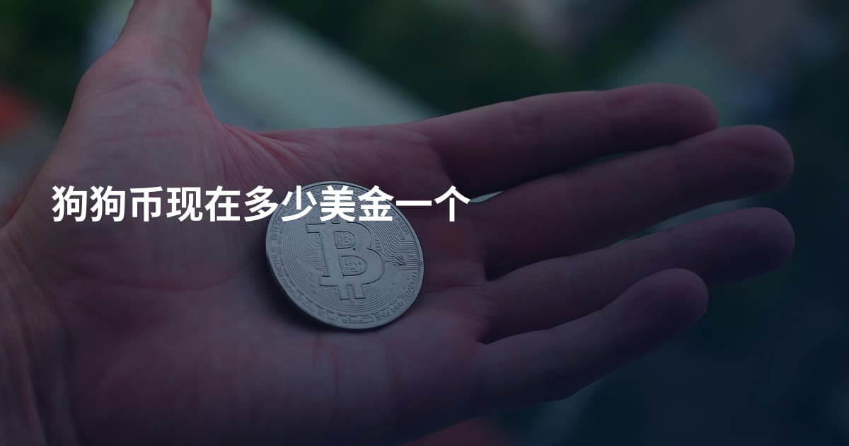 狗狗币现在多少美金一个