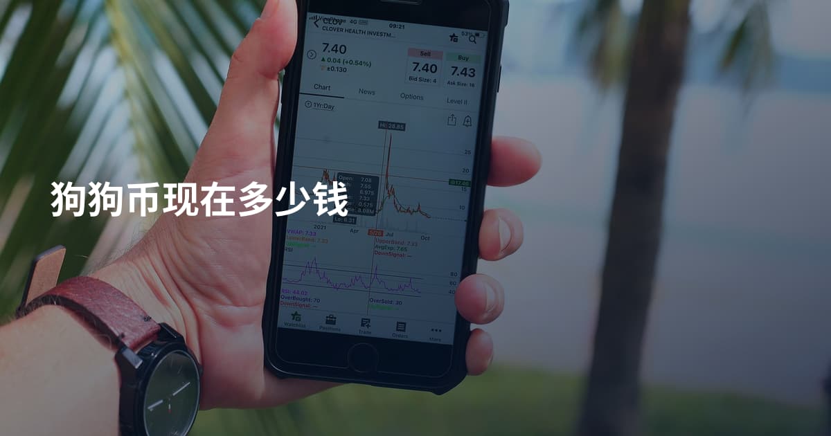 狗狗币现在多少钱