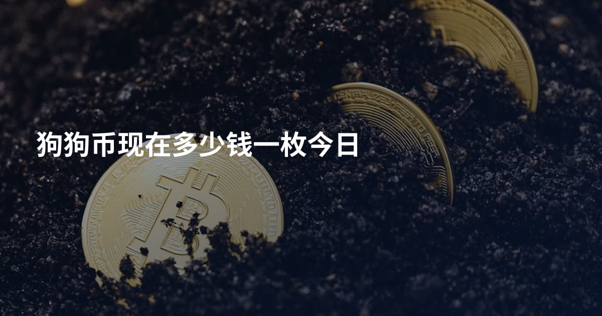 狗狗币现在多少钱一枚今日