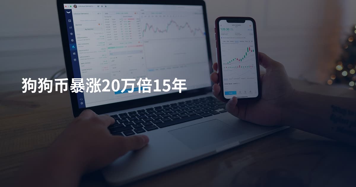 狗狗币暴涨20万倍15年