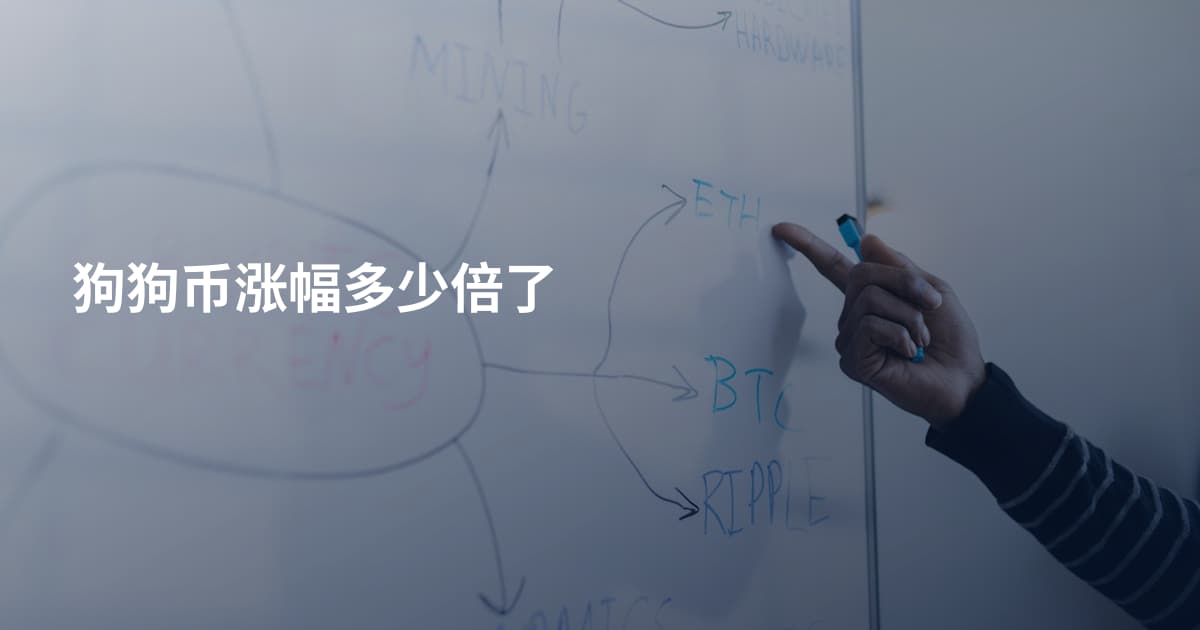 狗狗币涨幅多少倍了
