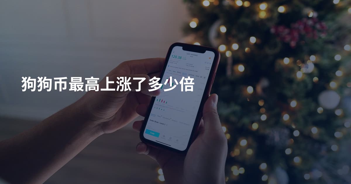 狗狗币最高上涨了多少倍