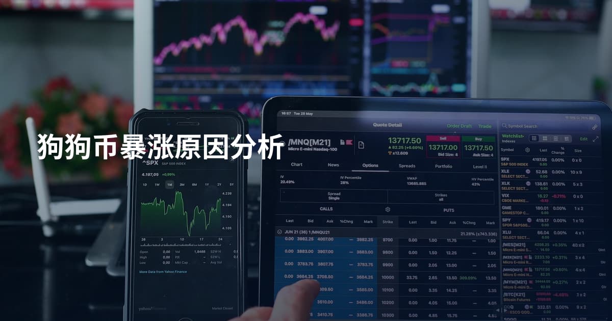 狗狗币暴涨原因分析
