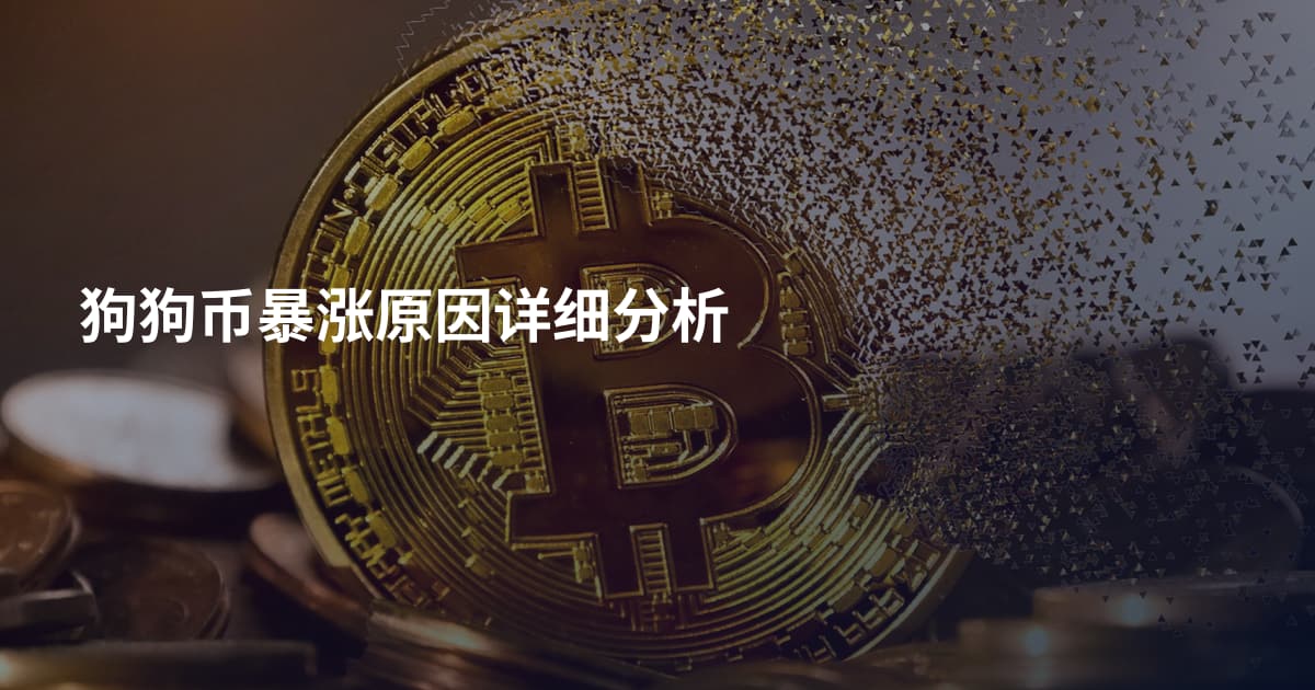 狗狗币暴涨原因详细分析