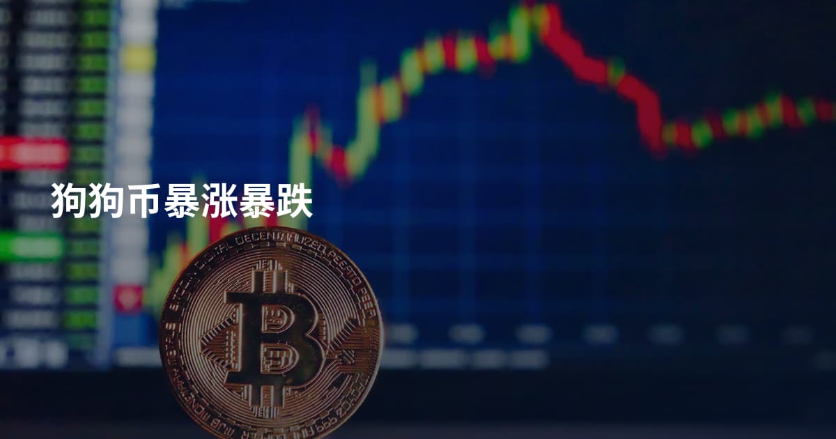 狗狗币暴涨暴跌