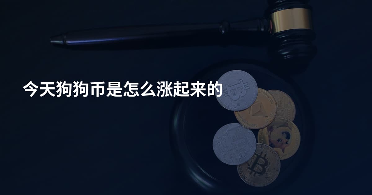 今天狗狗币是怎么涨起来的
