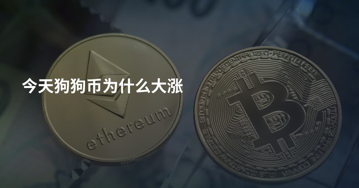今天狗狗币为什么大涨