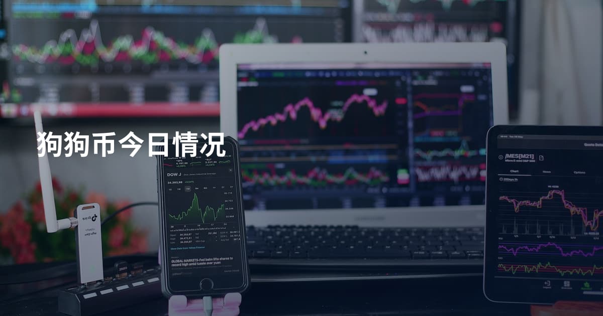 狗狗币今日情况