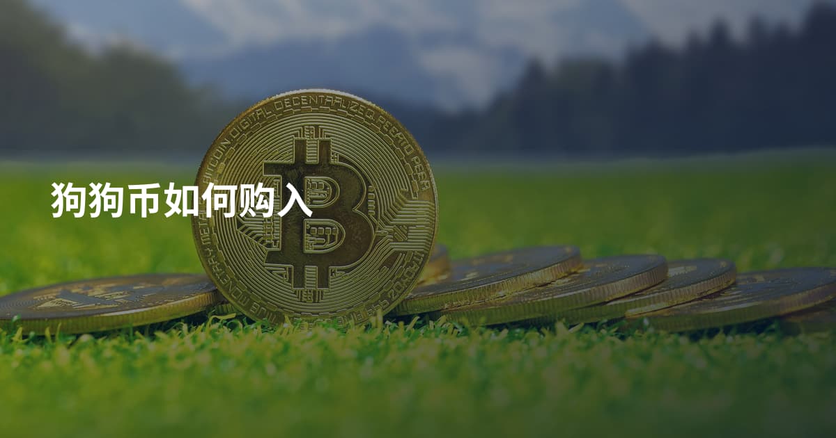 狗狗币如何购入