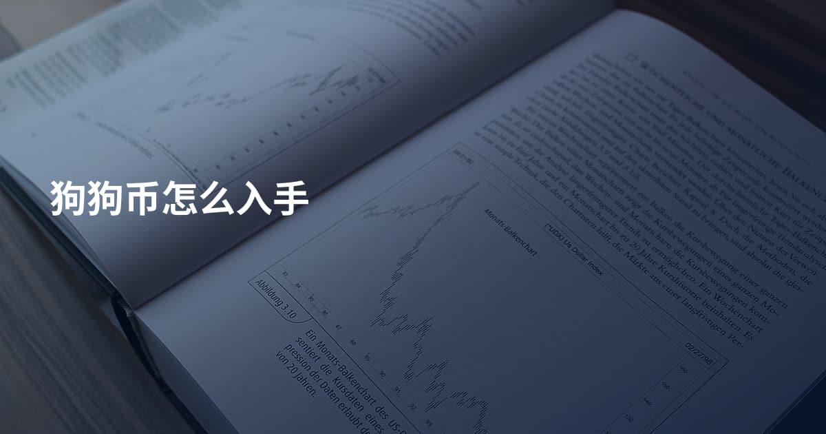 狗狗币怎么入手