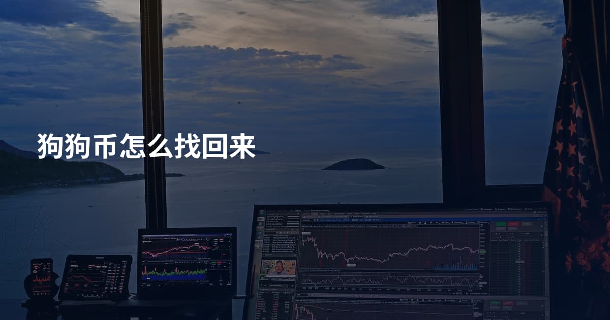 狗狗币怎么找回来