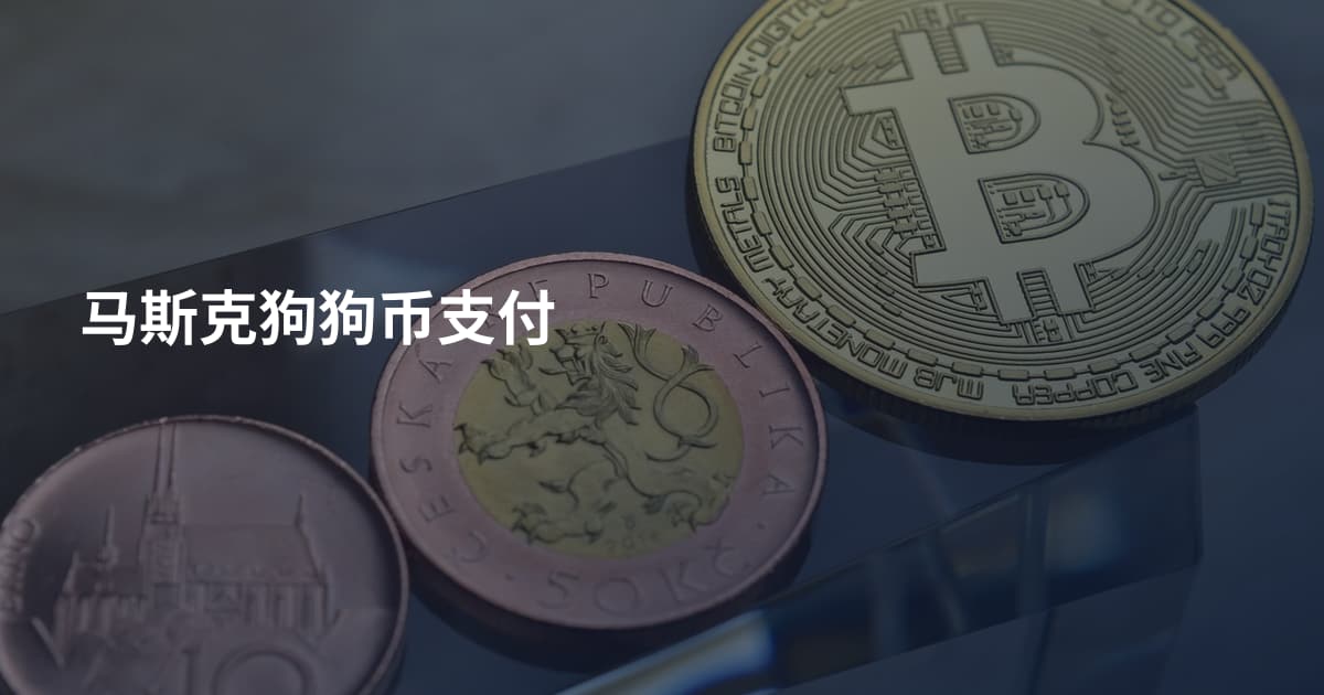 马斯克狗狗币支付