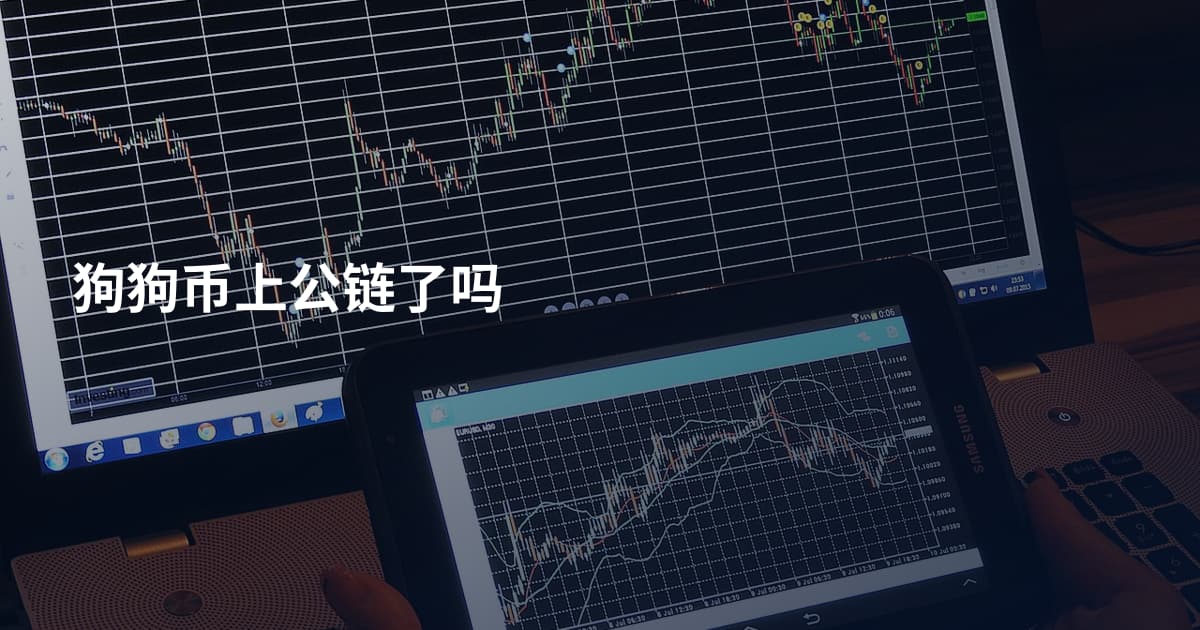狗狗币上公链了吗