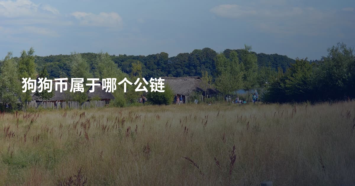 狗狗币属于哪个公链