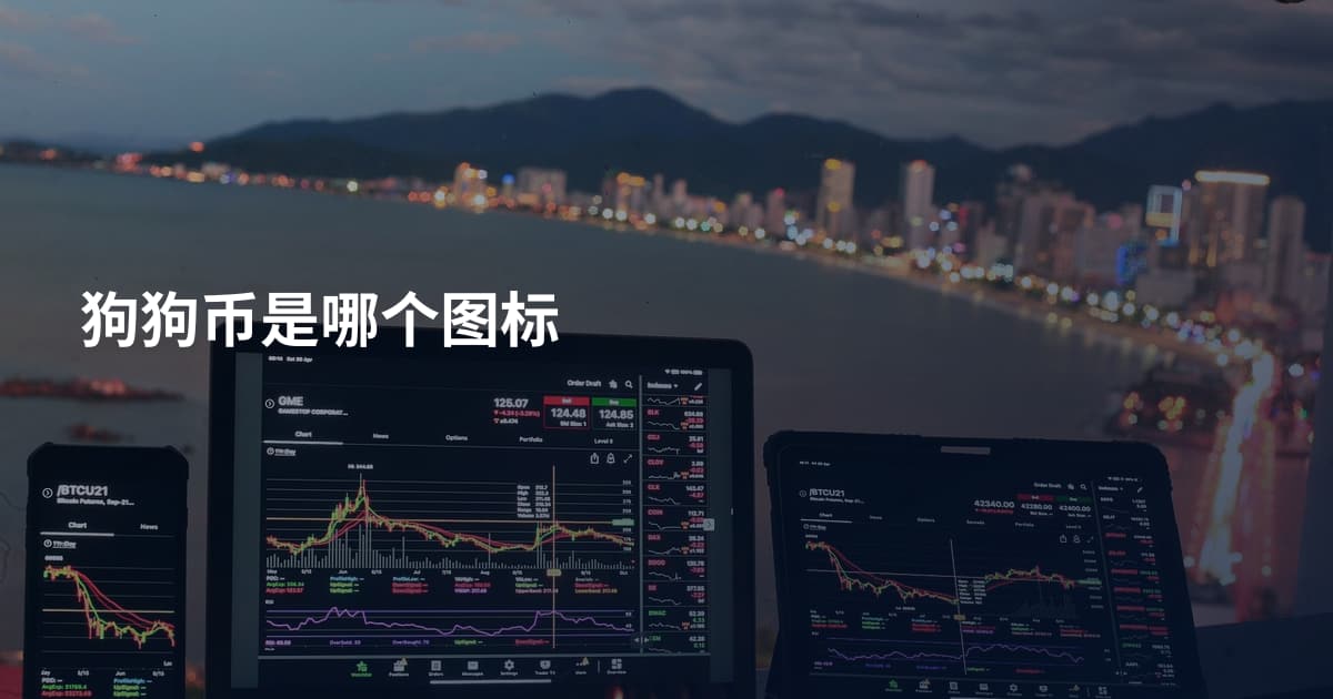 狗狗币是哪个图标