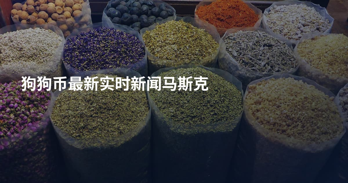 狗狗币最新实时新闻马斯克
